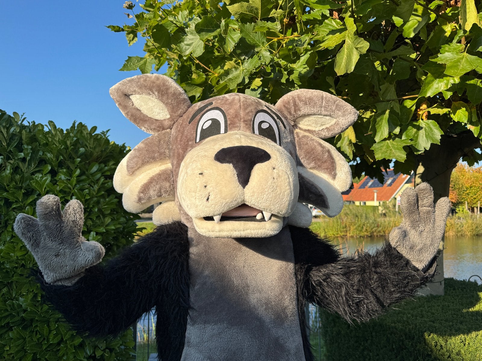 Wolf Mascotte - mascottepak fursuit - wolvenpak, Ophalen of Verzenden, Gebruikt, Pak of Jurk