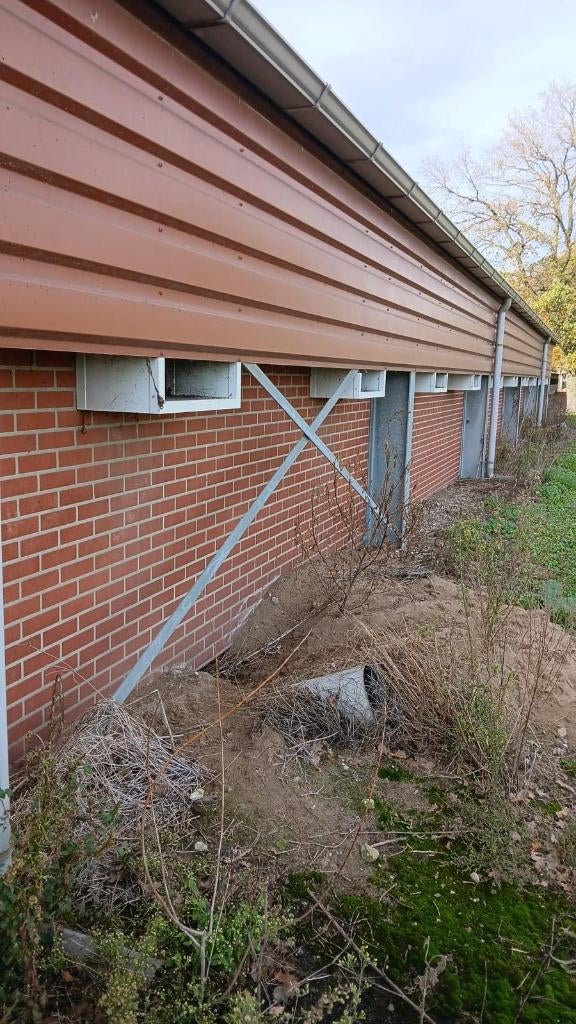 Complete prefab stal [246], Meerdere dieren, Schaap