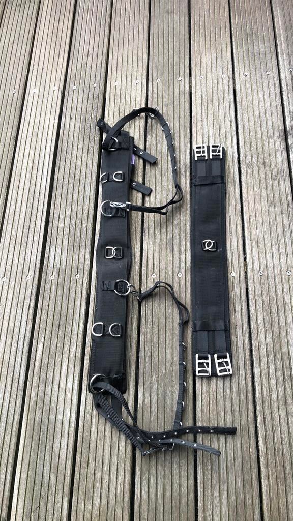 Te koop longeersingel harry’s horse, Ophalen of Verzenden, Zo goed als nieuw, Overige soorten
