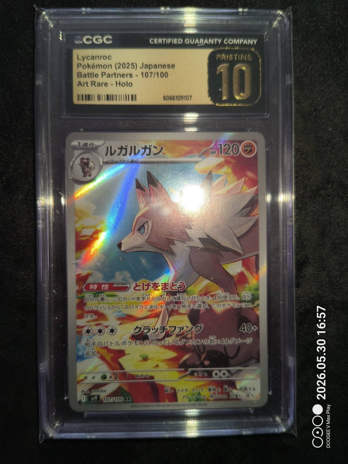 Lycanroc Pokémon Kaart CGC 10 Pristine Japanse Holo, Ophalen of Verzenden, Nieuw, Losse kaart, Foil