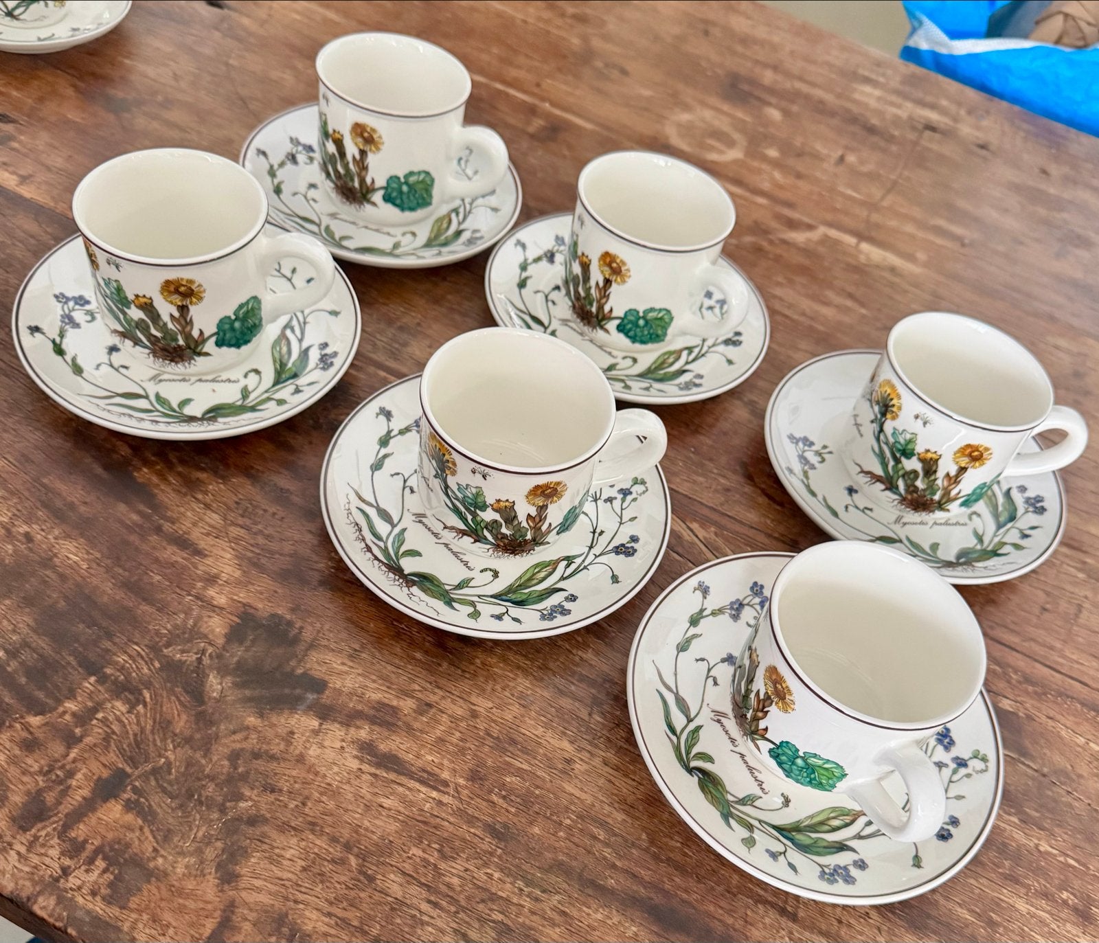 6 Villeroy & Boch Botanica Kop en Schotels, Ophalen of Verzenden