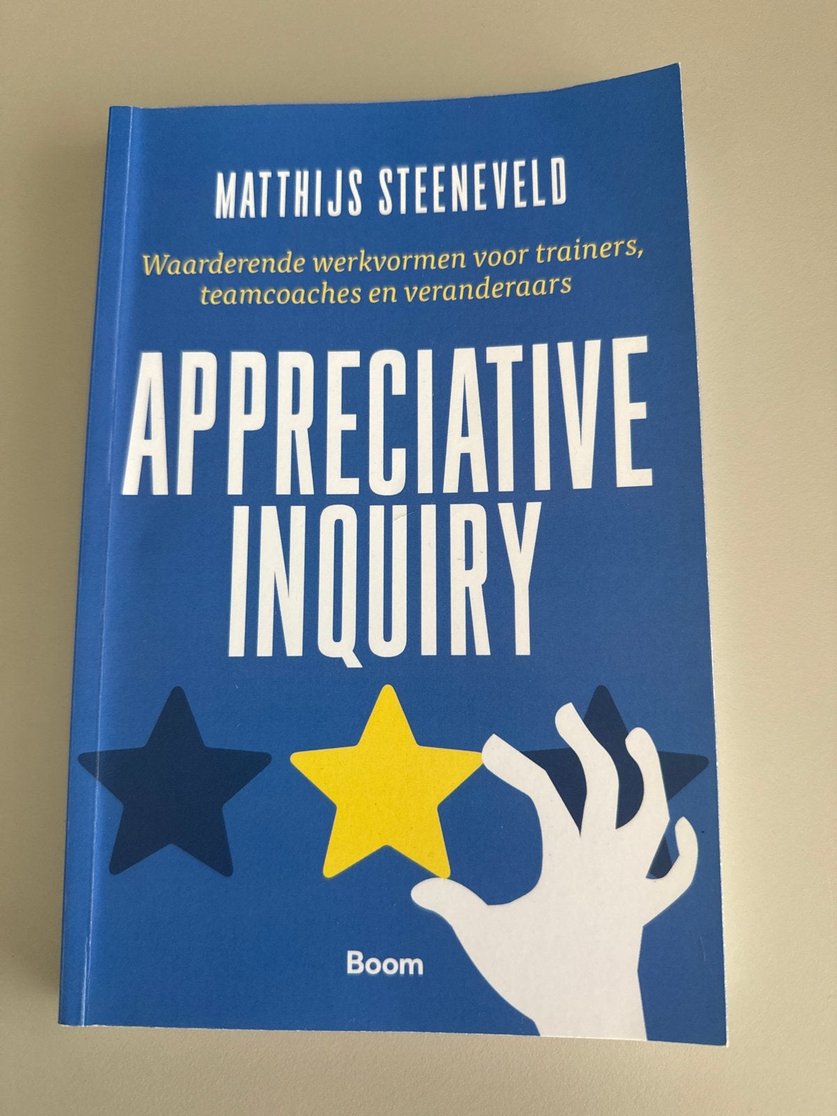 Appreciative Inquiry - Matthijs Steeneveld, Ophalen of Verzenden, Zo goed als nieuw, Overige uitgevers, Nederlands