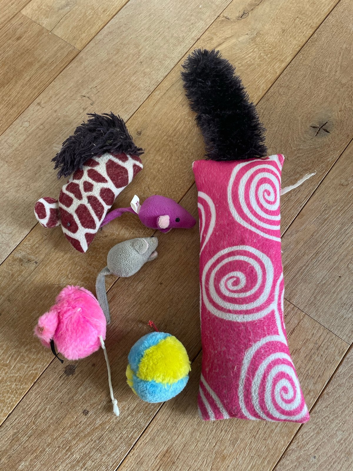 Kattenspeeltjes, Dieren en Toebehoren, Kattenspeelgoed, Ophalen of Verzenden