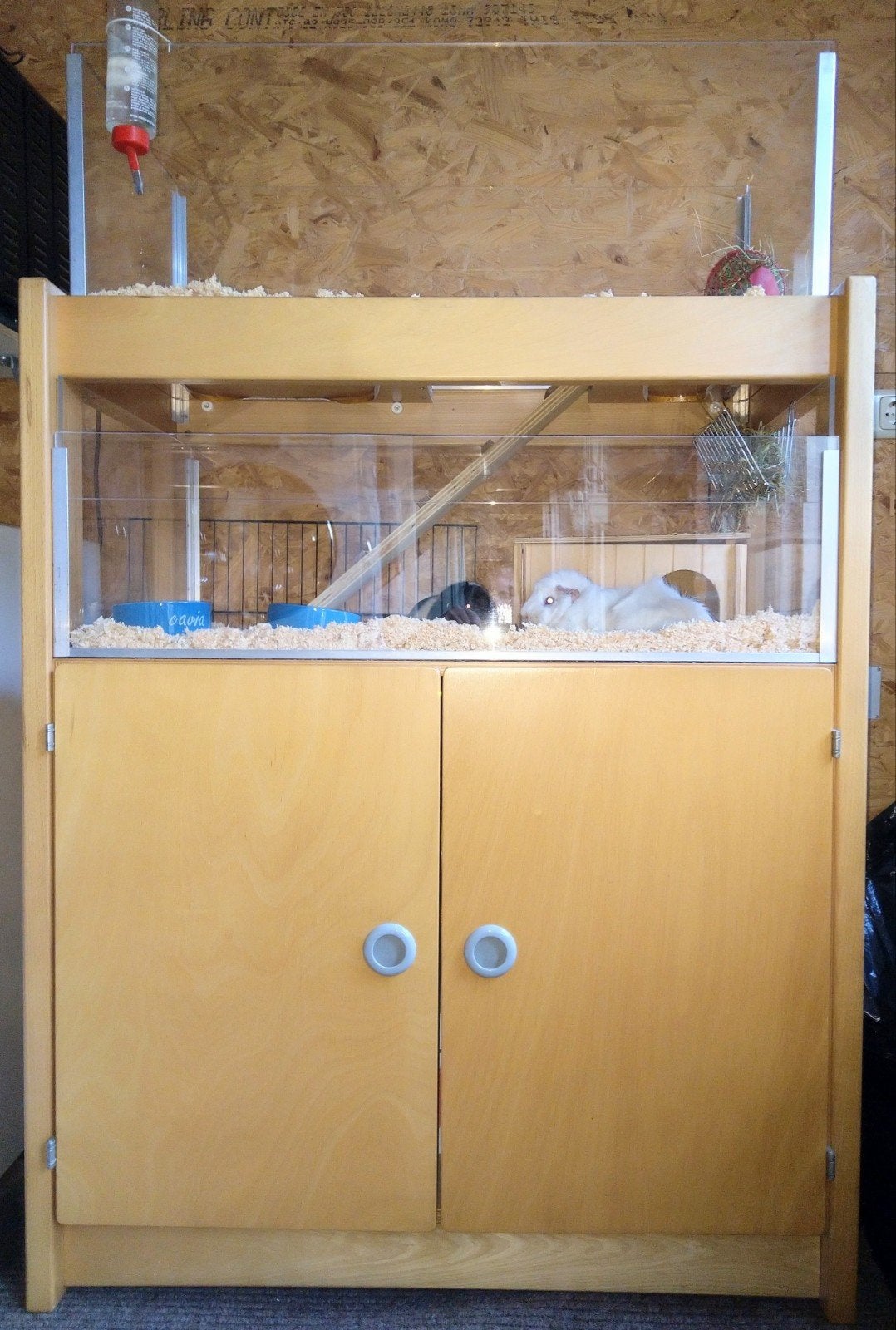 Cavia verblijf / flat., Dieren en Toebehoren, Ophalen, 110 cm of meer, 90 cm of meer, Hok