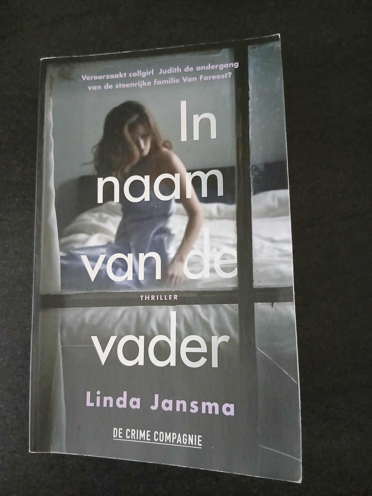 In naam van de vader - Linda Jansma (Thriller), Boeken, Ophalen of Verzenden, Gelezen, Linda Jansma, Nederland