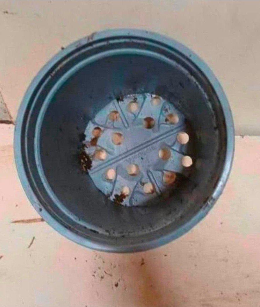 kweekpotten plantenpotten bloempotten 2 liter, Kunststof, Gebruikt, Rond, Ophalen of Verzenden