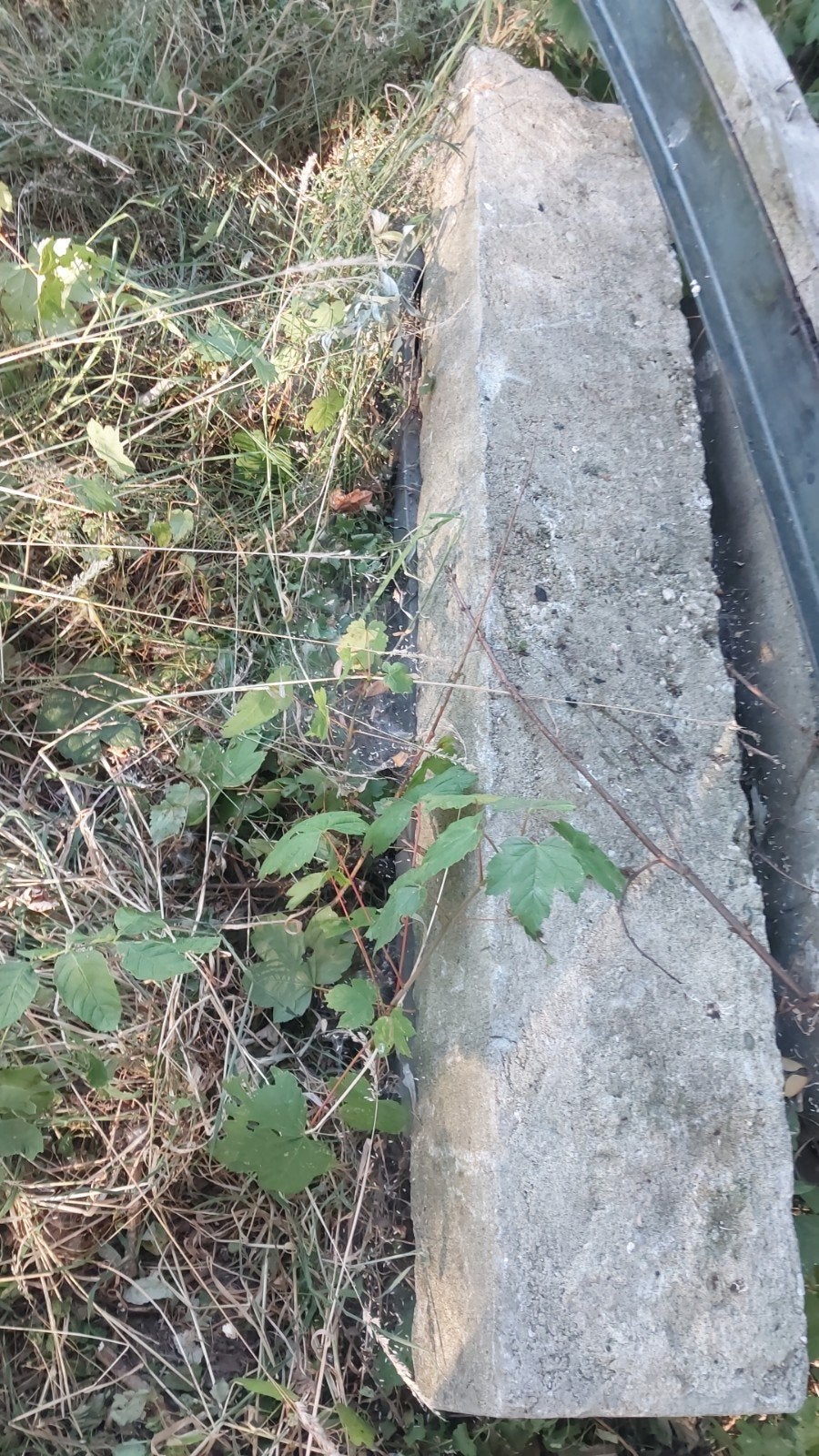 Dorpel/traptrede, Tuin en Terras, Ophalen, Nieuw, Minder dan 100 cm