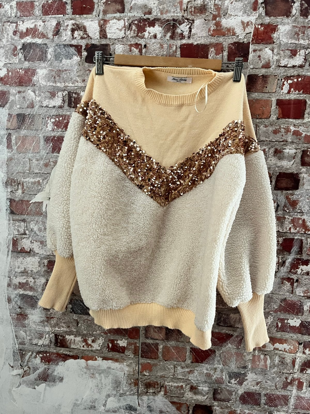 Miss Charm Paris trui met pailletten en teddy mouwen, Kleding | Dames, Ophalen of Verzenden, Zo goed als nieuw, Maat 38/40 (M)