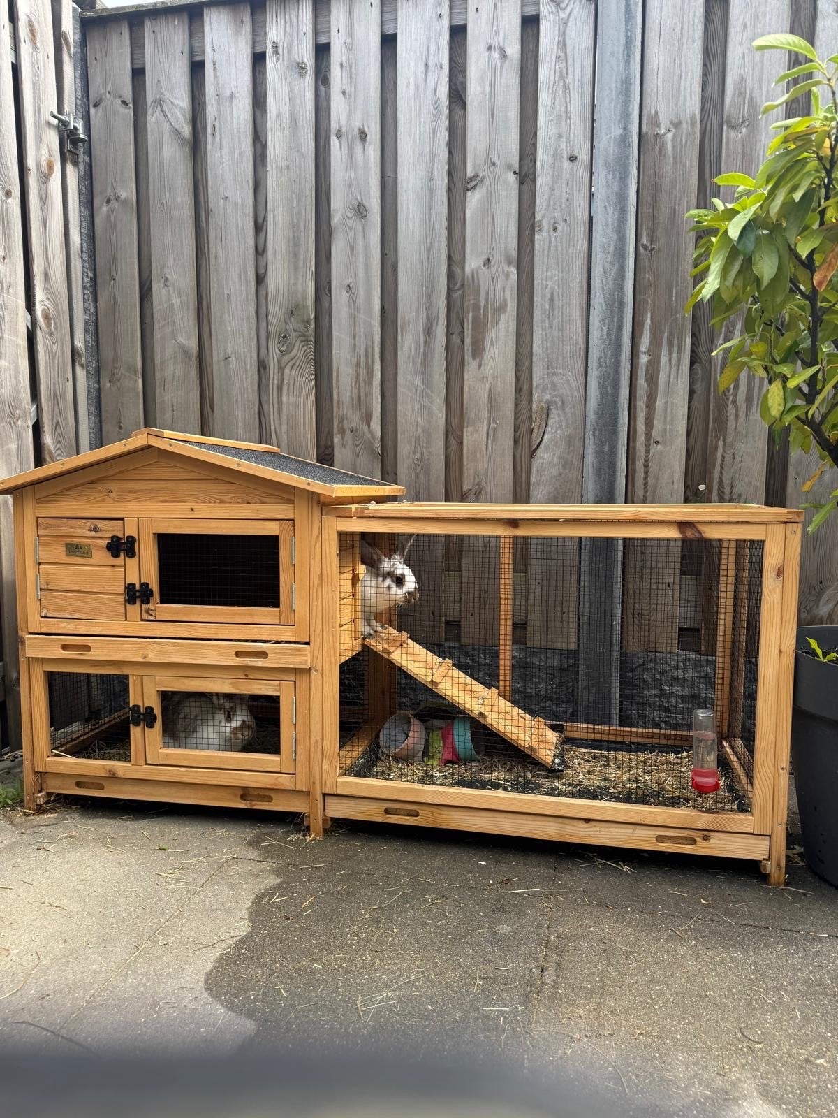 Konijnen + hok compleet, Dieren en Toebehoren, Knaagdieren en Konijnen | Hokken en Kooien, Ophalen of Verzenden, 110 cm of meer