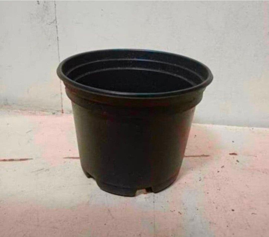 Kweekpotten plantenpotten bloempotten 2 liter, Kunststof, Gebruikt, Rond, Ophalen of Verzenden