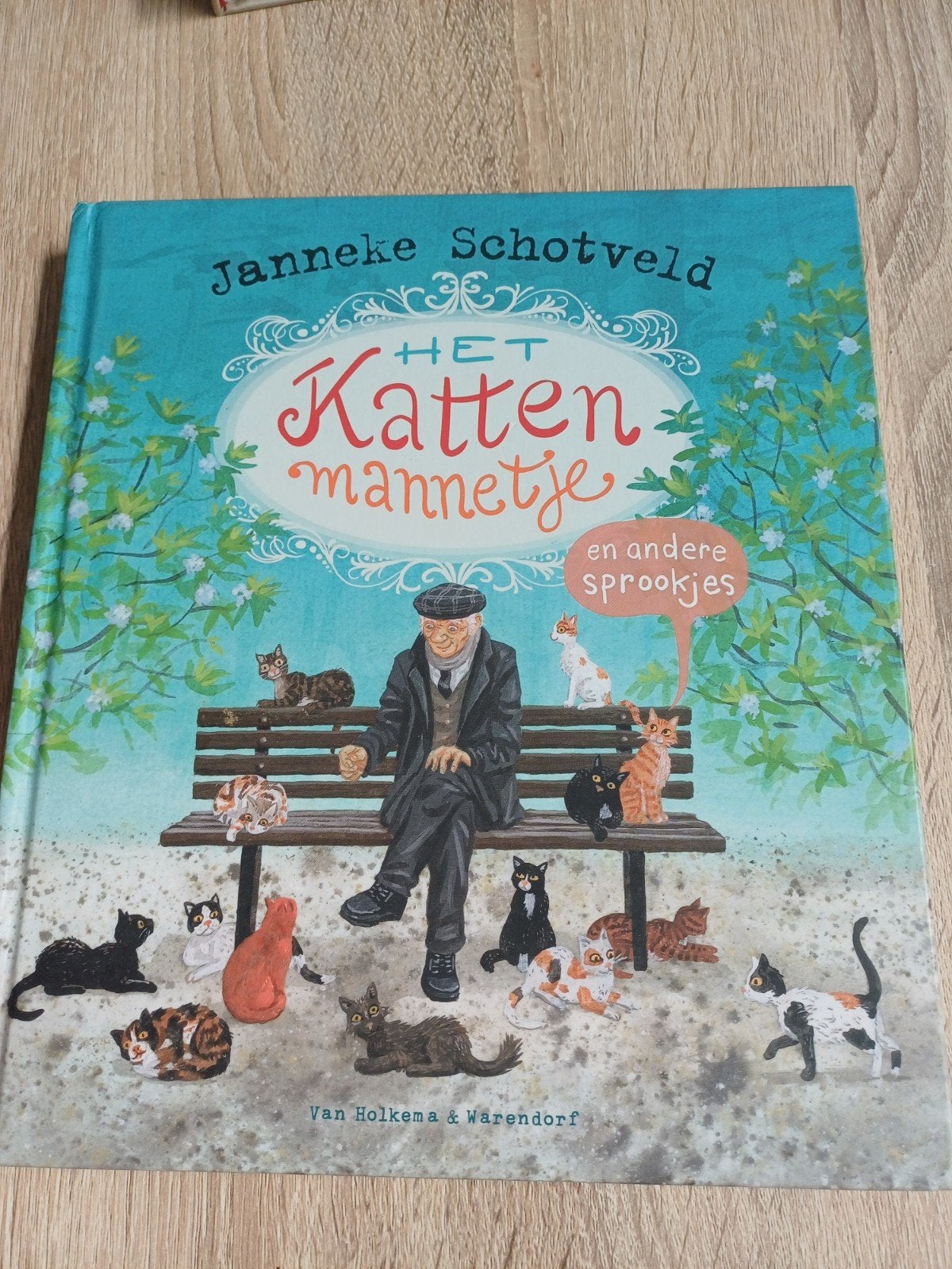 janneke Schotman vouwboek, Boeken, Ophalen of Verzenden, Zo goed als nieuw, Fictie algemeen