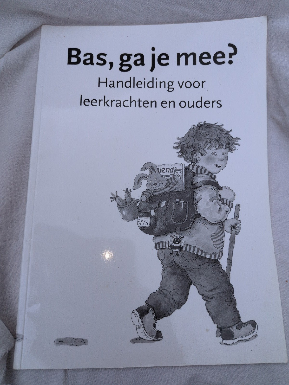 Dagmar Stam - Handleiding voor leerkrachten en ouder, Ophalen of Verzenden, Zo goed als nieuw, Dagmar Stam