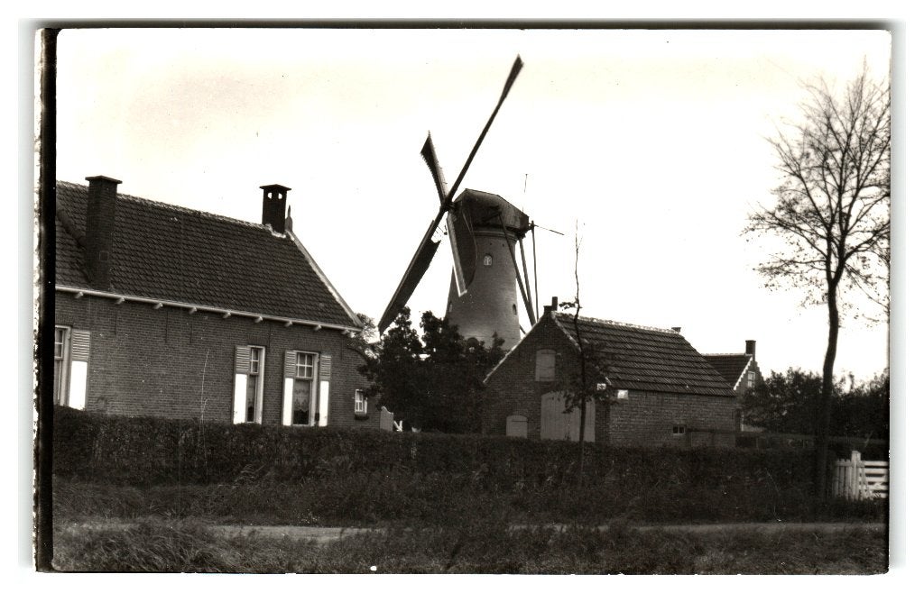 Tholen, Molen - Fotokaart, Verzenden, 1940 tot 1960, Ongelopen, Zeeland