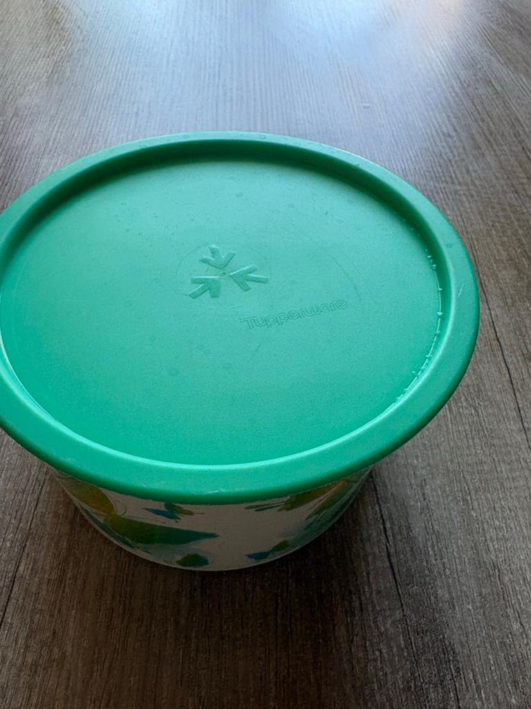 Tupperware bewaarbak met deksel - Groen/Wit, Eu, Gebruikt, Eu, Ophalen of Verzenden