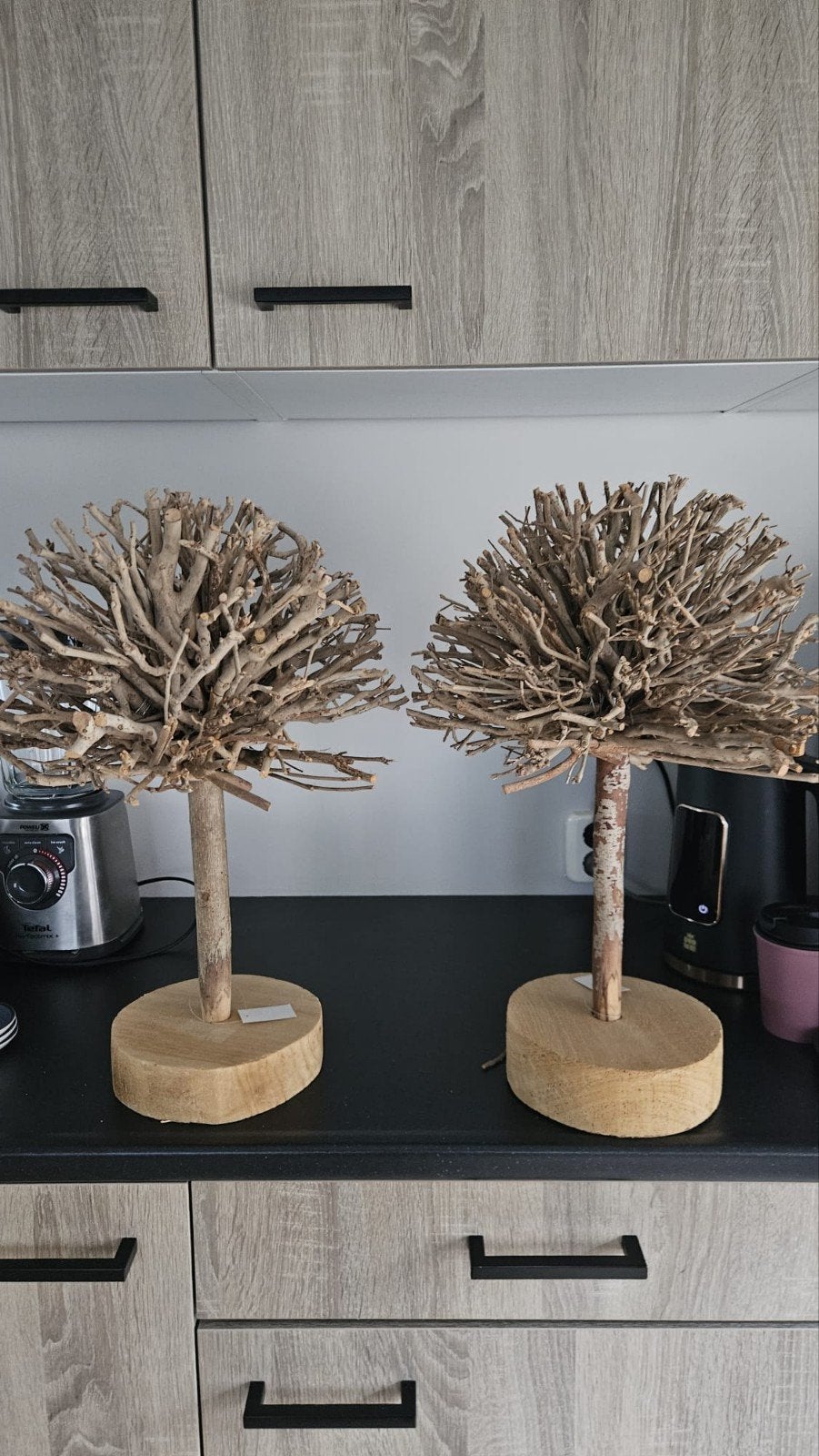 (Wens) boompjes ( 2 x 55 cm hoog en 1x 70 cm hoog), Ophalen