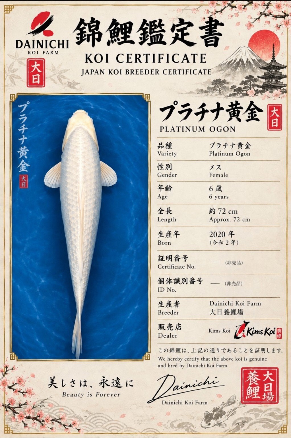 japanse koi platinum ogon, Karper of Koi