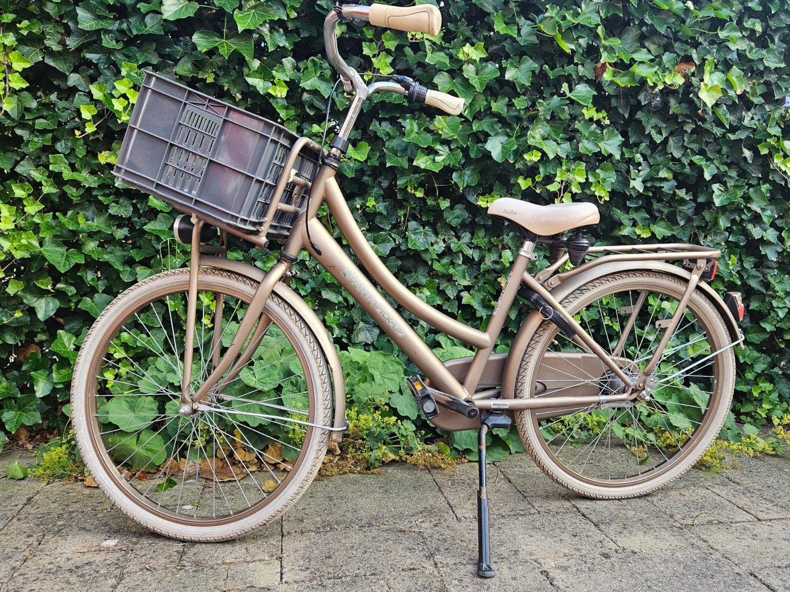 Sparta Pick-Up meisjesfiets met krat, Ophalen, Terugtraprem, Sparta, Versnellingen