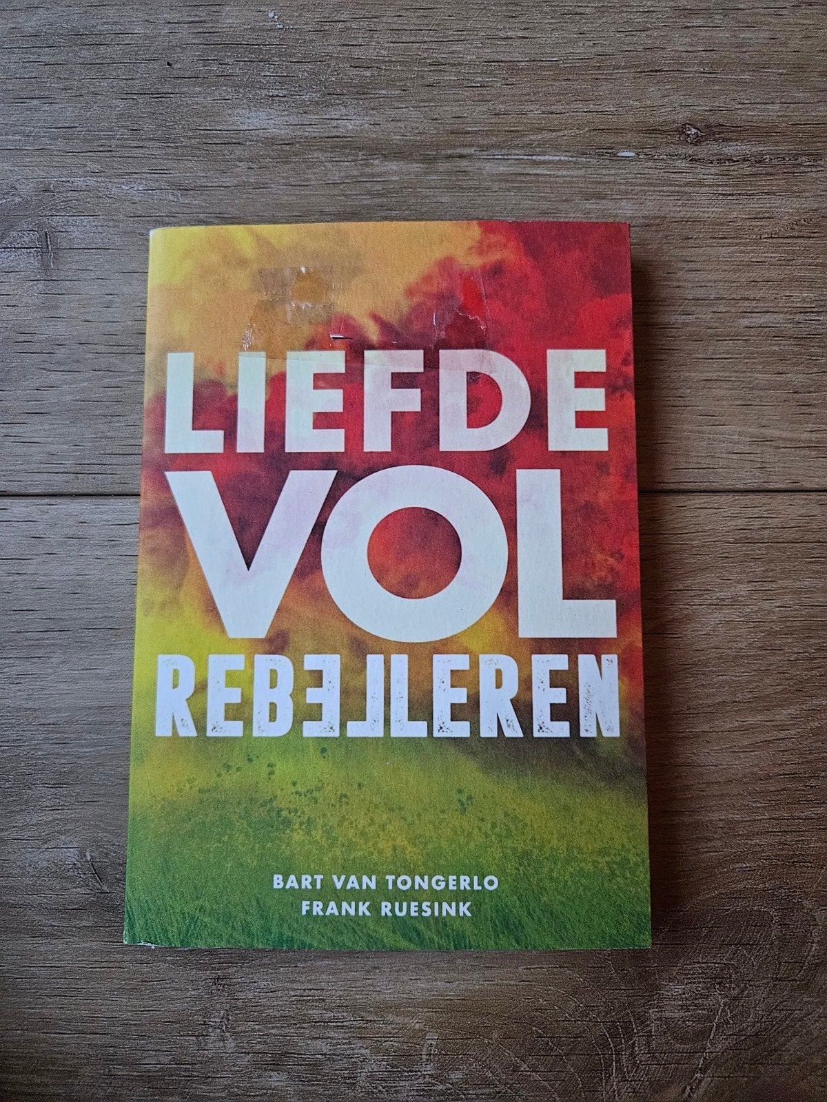 Liefdevol rebelleren - Bart van Tongerlo en Frank Ruesink, Gelezen, Bart van Tongerlo, Ophalen of Verzenden, Overige onderwerpen