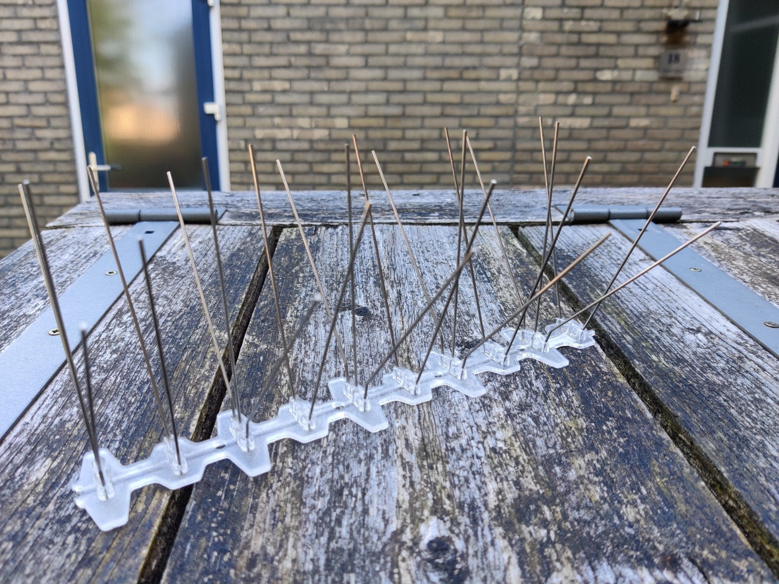 🐦 Duiven pinnen 🐦, Ophalen of Verzenden, Zo goed als nieuw, Overige soorten