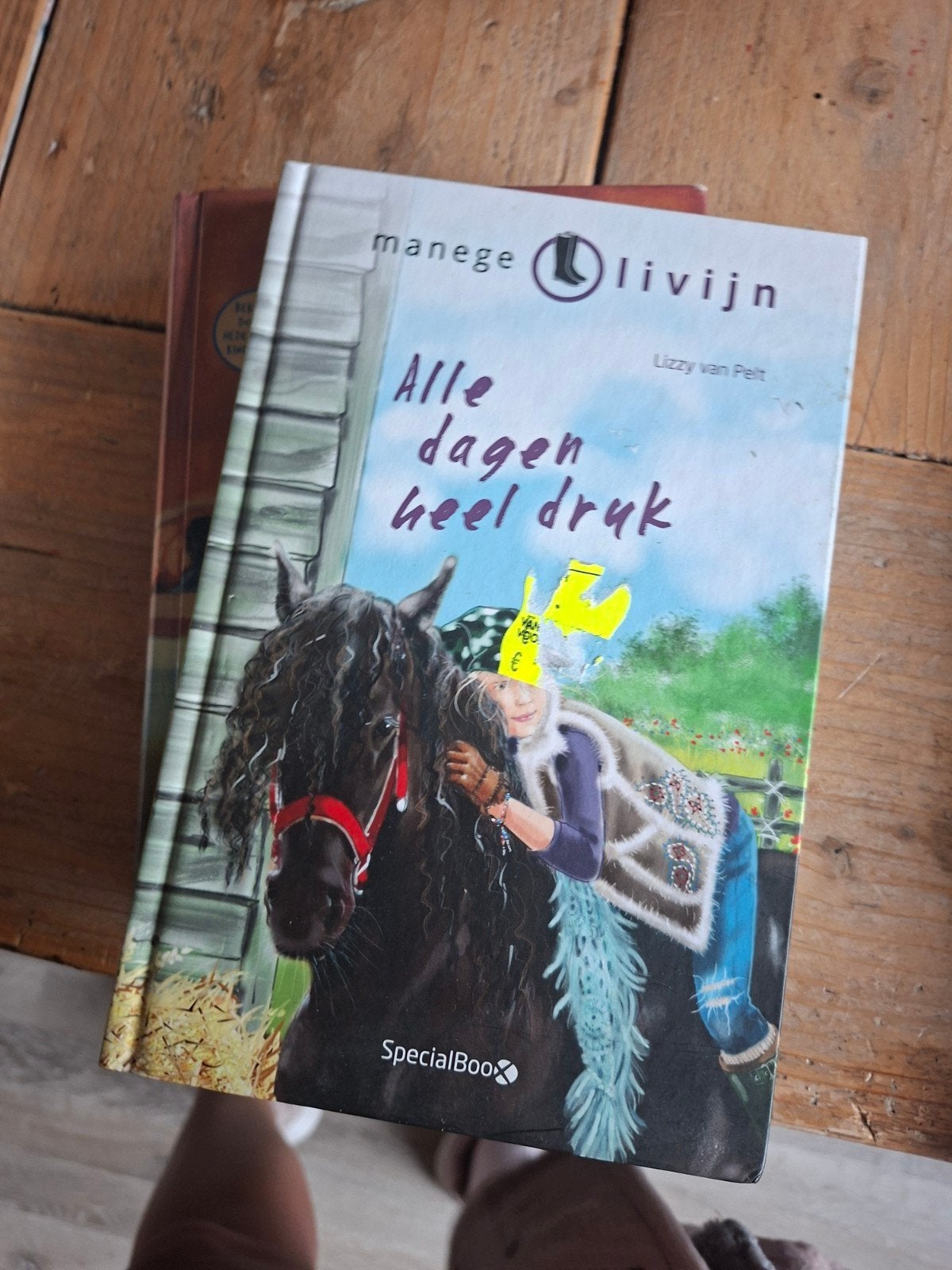 Manegelivijn: Alle dagen heel druk - Lizzy van Pelt, Ophalen of Verzenden, Gelezen, Lizzy van Pelt, Fictie