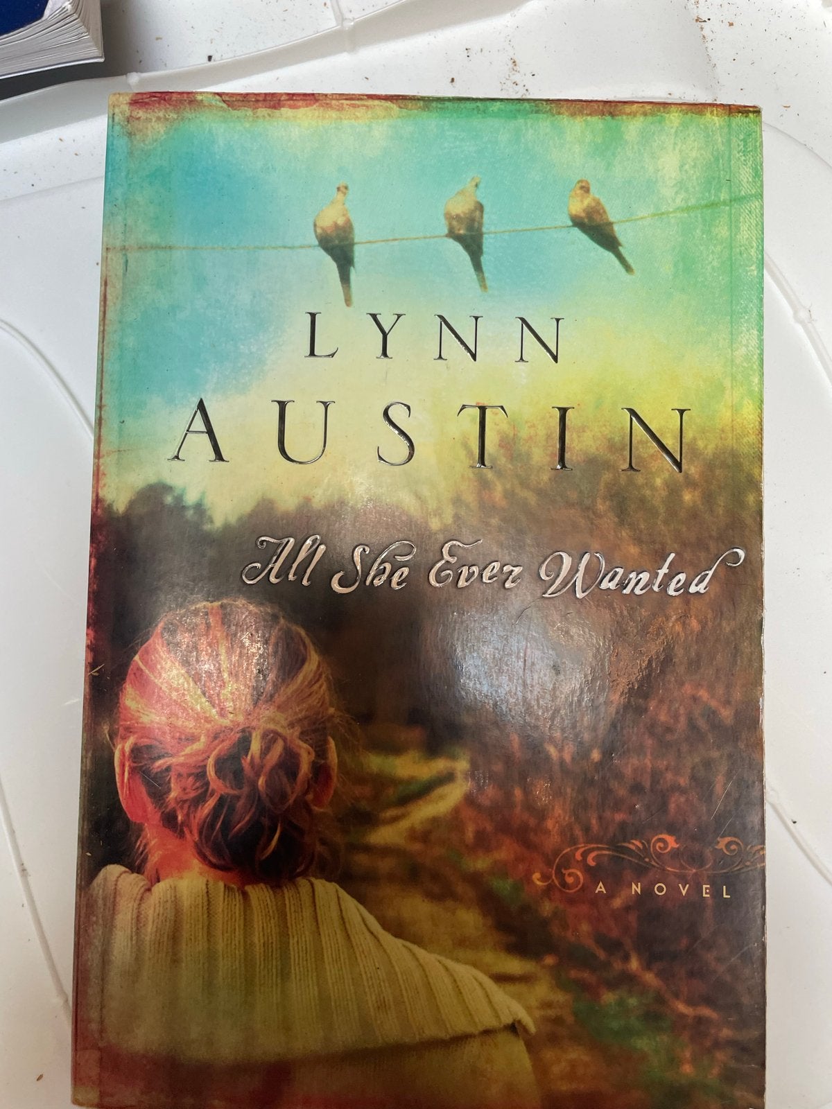 All She Ever Wanted - Lynn Austin (Roman), Ophalen, Gelezen, Amerika
