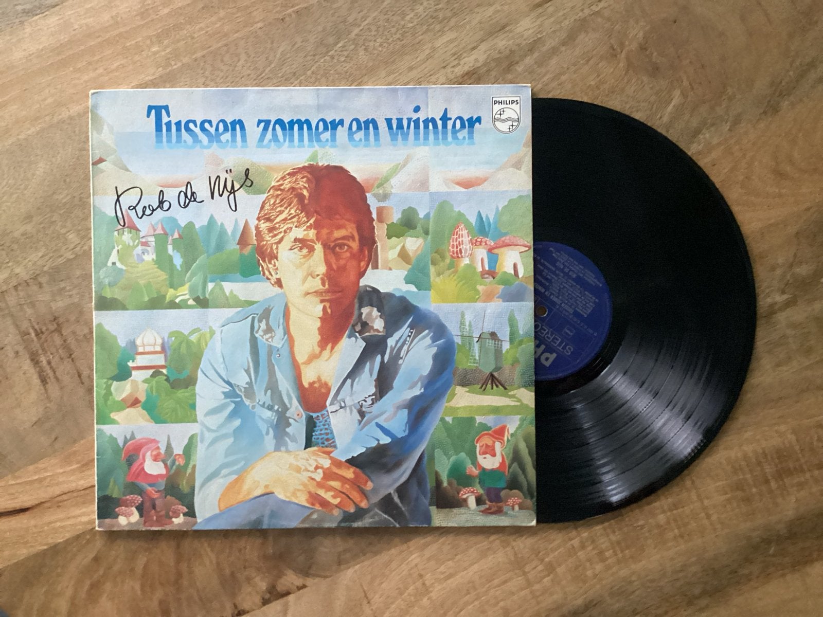 Rob de Nijs - Tussen Zomer en Winter (LP), Ophalen of Verzenden, 12 inch