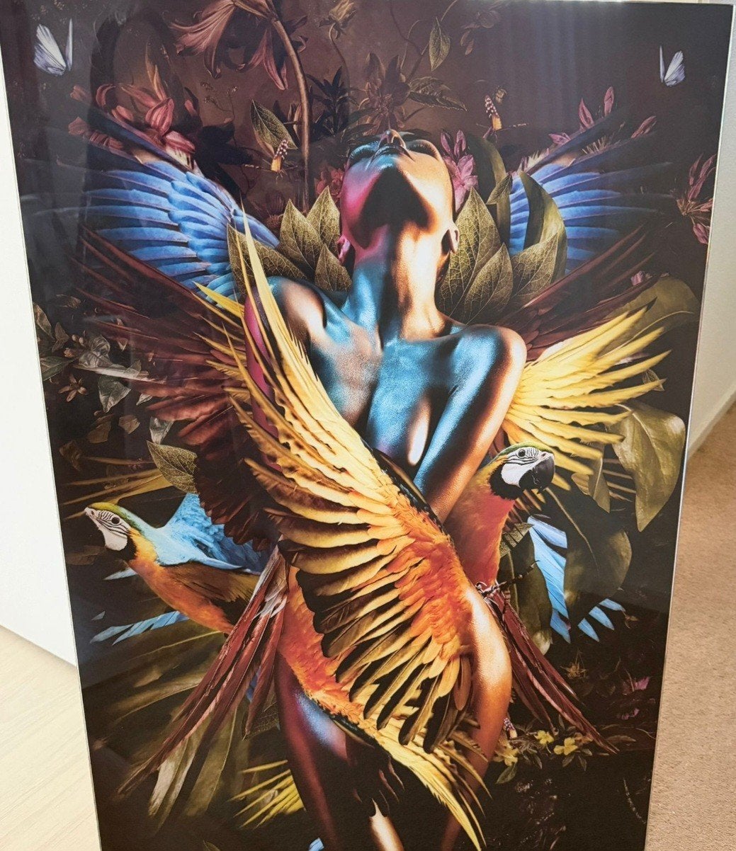 Elizabeth Fly schilderij 60 Br  90 Hoog €100., Ophalen