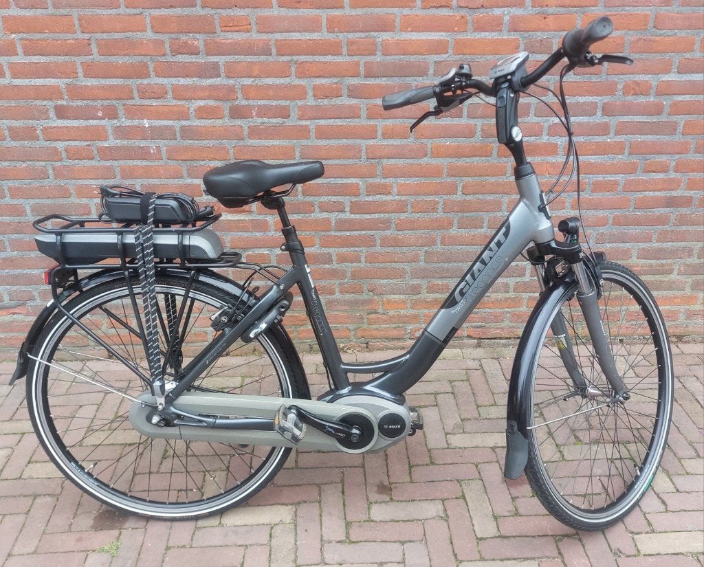 Giant Elegance D53 – Bosch Active Line middenmotor, Ophalen, Gebruikt, Giant, 51 tot 55 cm