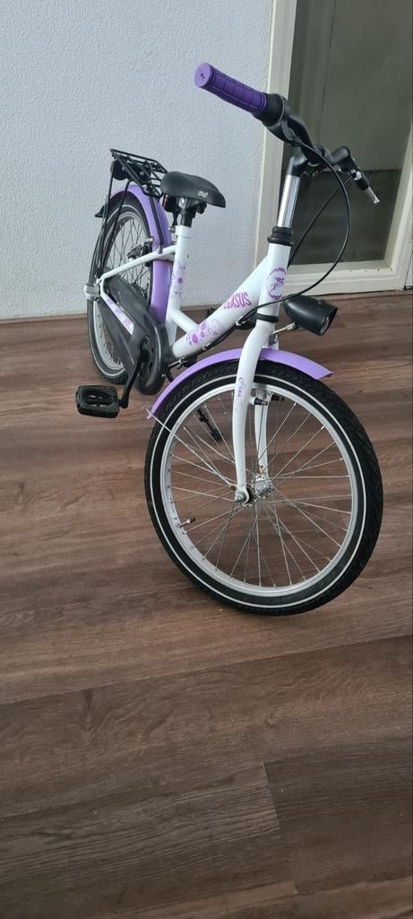 stoere pegasus 20inch( perfecte staat)3 versnellingen!, Ophalen, Zo goed als nieuw, 26 inch of meer, Versnellingen