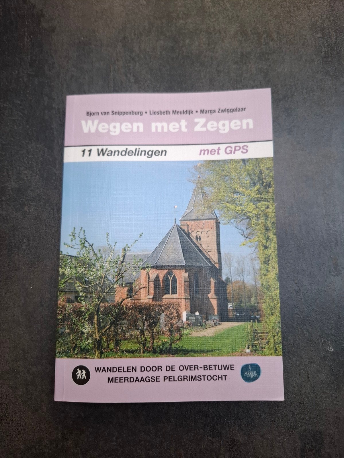 Wegen met zegen, pelgrimstocht met gps, Overige merken, Liesbeth meuldijk, Europa, Nieuw
