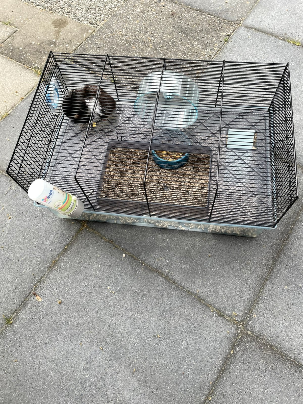 Leuke Hamster met hamsterkooi, Dieren en Toebehoren, Knaagdieren en Konijnen | Hokken en Kooien, Kooi, Minder dan 75 cm, Zo goed als nieuw