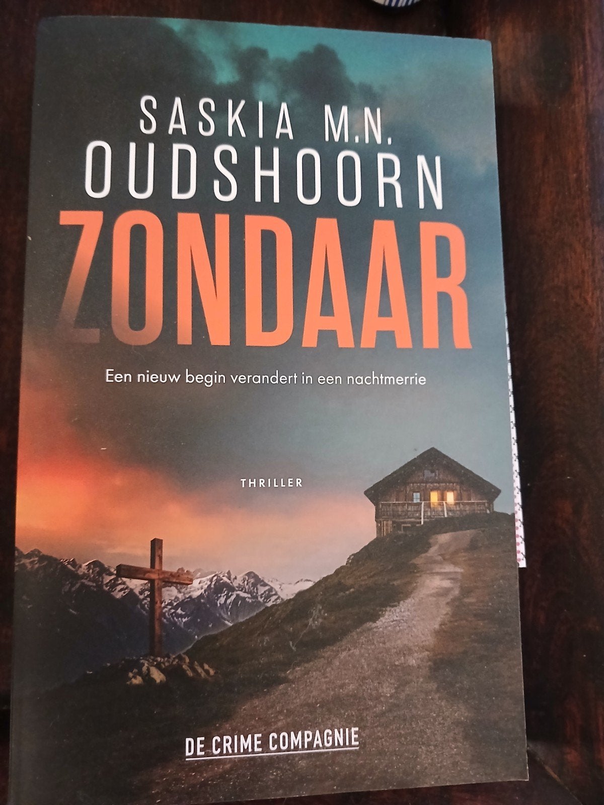 Saskia Oudshoorn - Zondaar - club, Boeken, Ophalen of Verzenden, Zo goed als nieuw, Saskia Oudshoorn