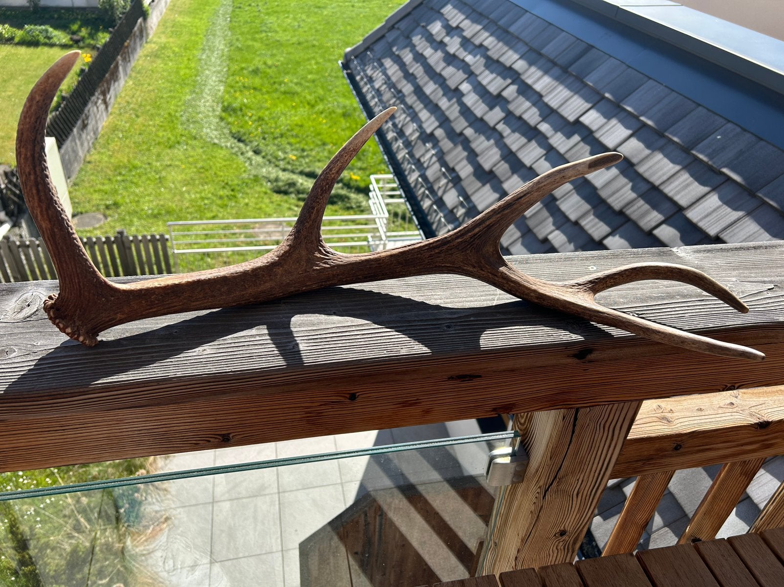 Prachtig hertengewei Oostenrijk-Tirol, Ophalen of Verzenden, Zo goed als nieuw, Bruin, Overige materialen