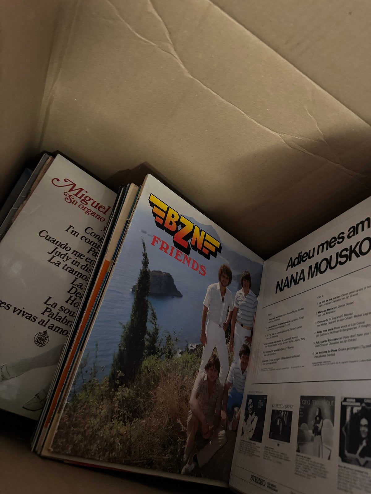 Grote partij LP's: Klassiek & Pop (o.a. BZN) - 3 verhuisdoze, Gebruikt, Ophalen of Verzenden, 12 inch, Overige typen