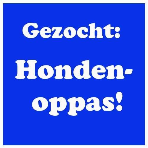 Lieve, betrouwbare oppas gezocht uit Enschede, Ophalen of Verzenden, Overige providers