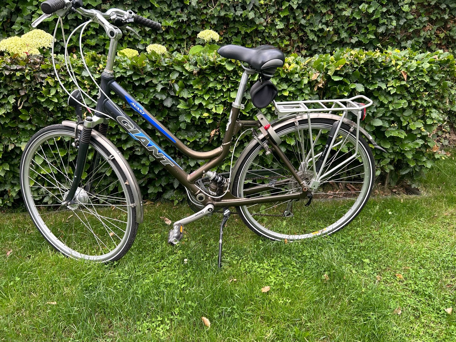Giant Avant Damesfiets - 50 cm frame - Gebruikt, Ophalen, Gebruikt, Velgrem, Versnellingen