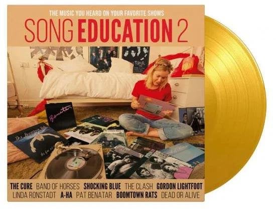 Compilation - Song Education 2 - lp, Cd's en Dvd's, LP, Ophalen of Verzenden, Pop, 12 inch
