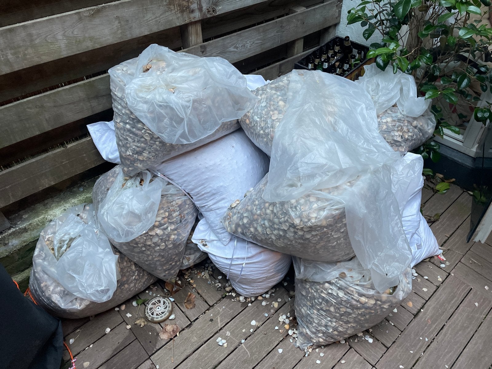 Schelpen 1,5 m³ – schone schelpen – partij, Tuin en Terras, Ophalen of Verzenden, Gebruikt, Multi, Grind
