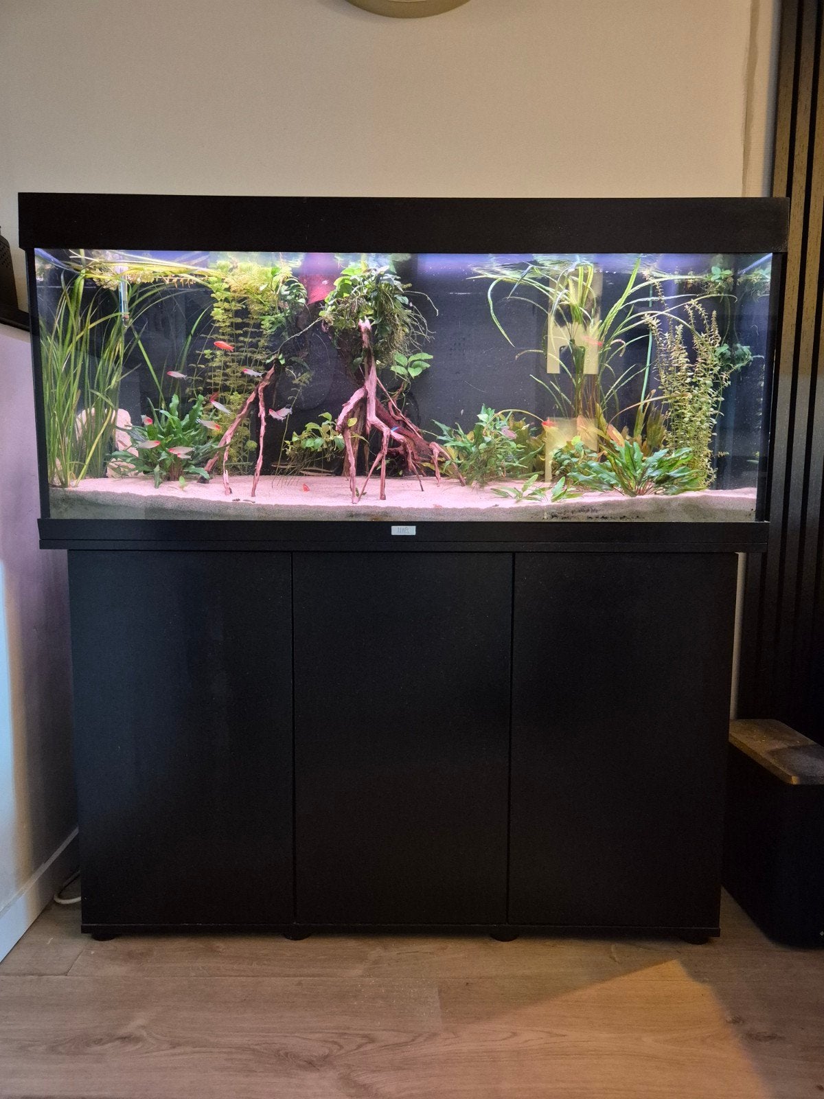 Over compleet aquarium te koop, Ophalen, Gevuld zoetwateraquarium