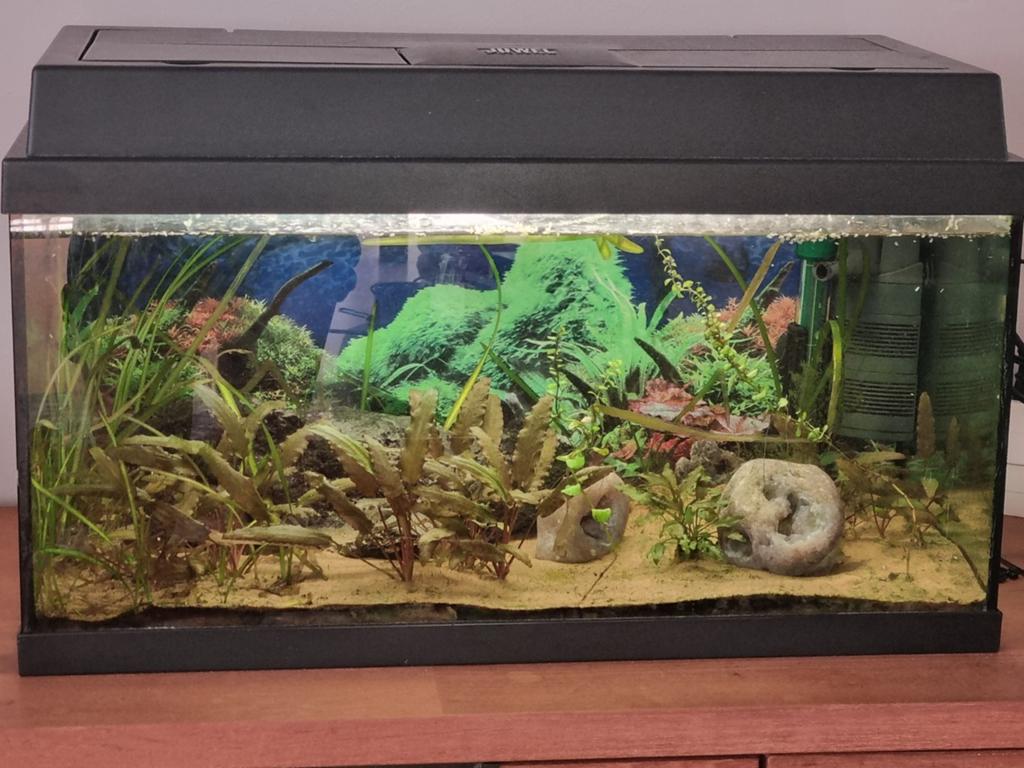 Aquarium 60x30x30 met vissen, Ophalen, Gebruikt