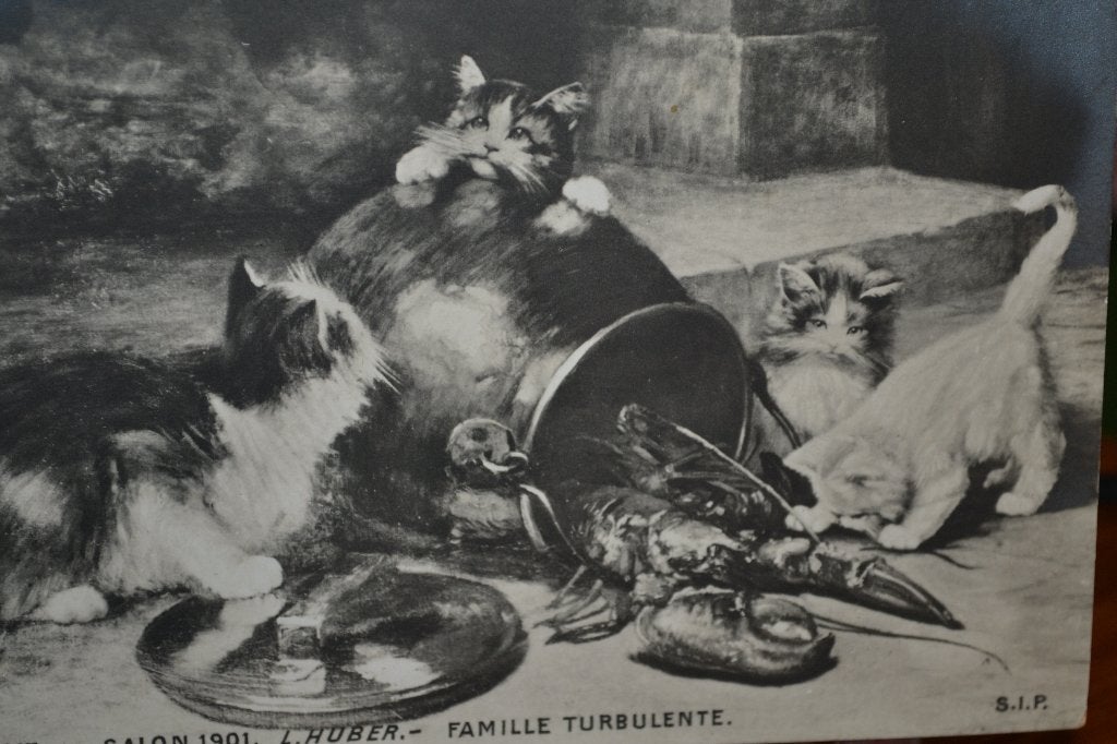 frankrijk 1901 poesjes met kreeft in pot, Ophalen of Verzenden, Voor 1920, Ongelopen, Sterren en Beroemdheden