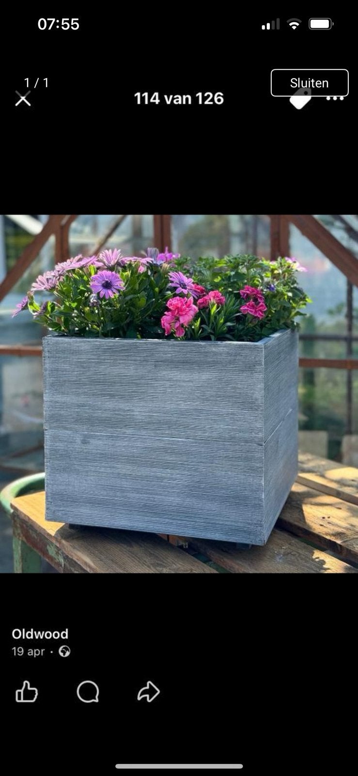 Bloembak Plantenbak nu voor, Ophalen, Vierkant, Nieuw, Balkon