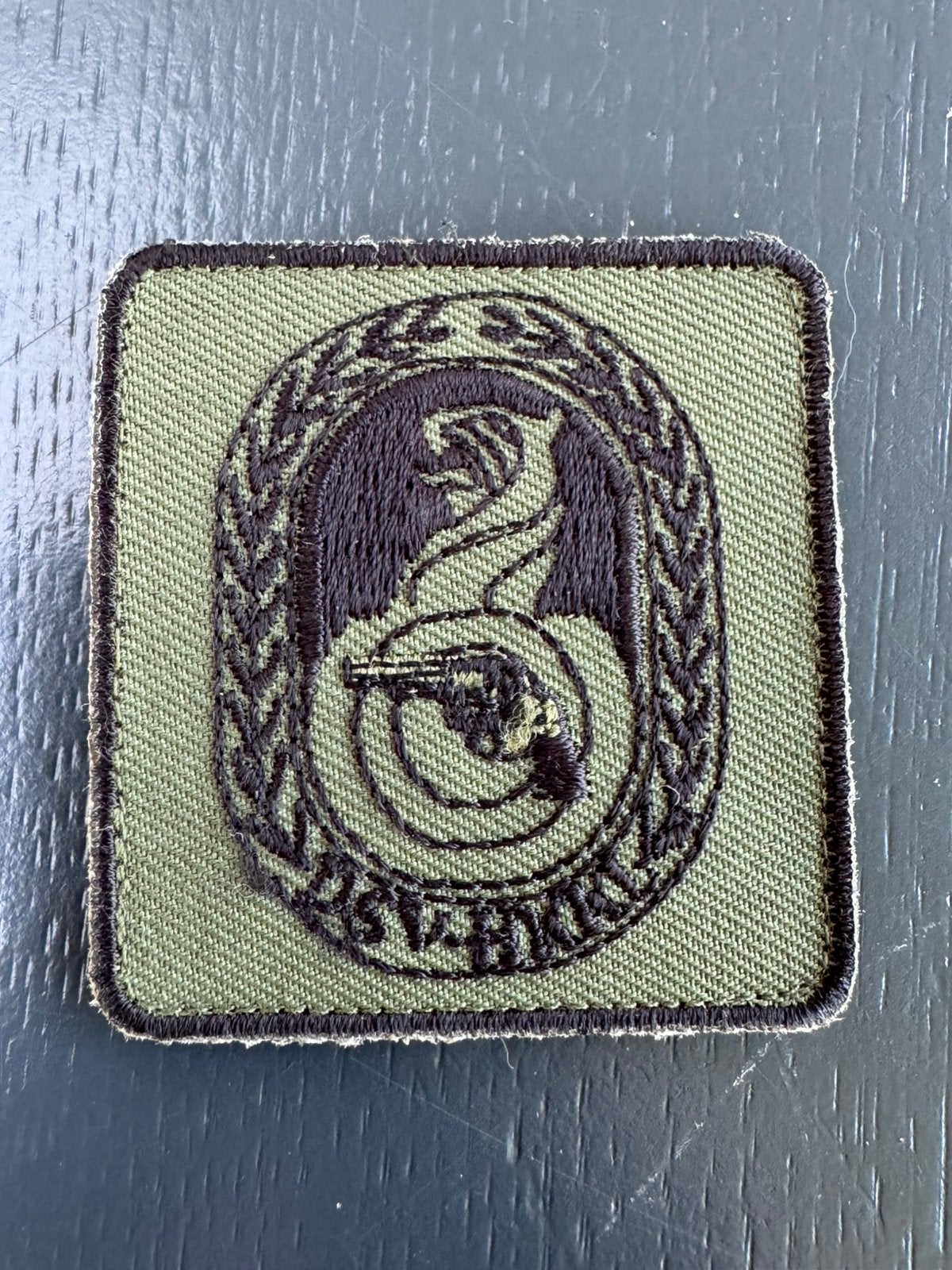 KL Borstembleem DSV HKKL, Ophalen of Verzenden, Landmacht, Nederland, Embleem of Badge