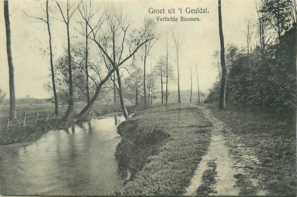 701-433-025 Geuldal Verliefde Boomen, Ophalen of Verzenden, Voor 1920, Limburg