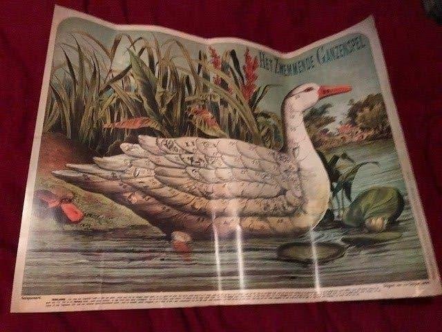 schoolplaat Ganzenbord heruitgave van 1972, Antiek en Kunst, Ophalen of Verzenden, Natuur en Biologie