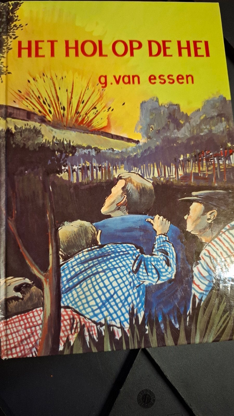 G van Essen, het hol op de hei, Ophalen of Verzenden