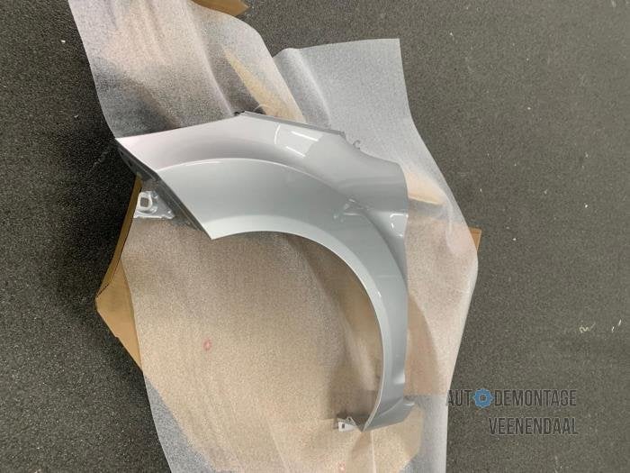 Scherm links-voor van een Ford Fiesta (MOONDUST), Auto-onderdelen, -, -, Nieuw, Ophalen of Verzenden