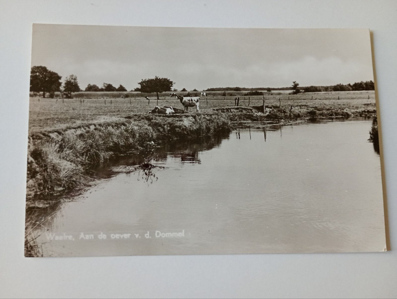 Waalre Oever Dommel, Ophalen of Verzenden, 1940 tot 1960, Ongelopen, Noord-Brabant