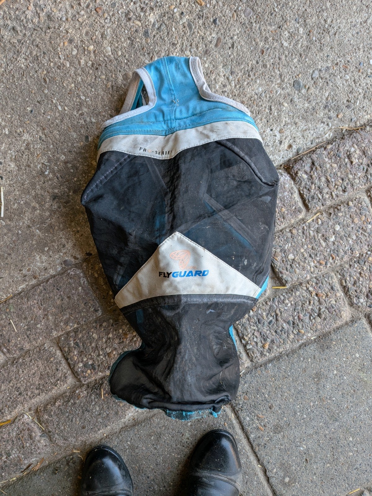 Vliegenmasker Shires, Ophalen of Verzenden