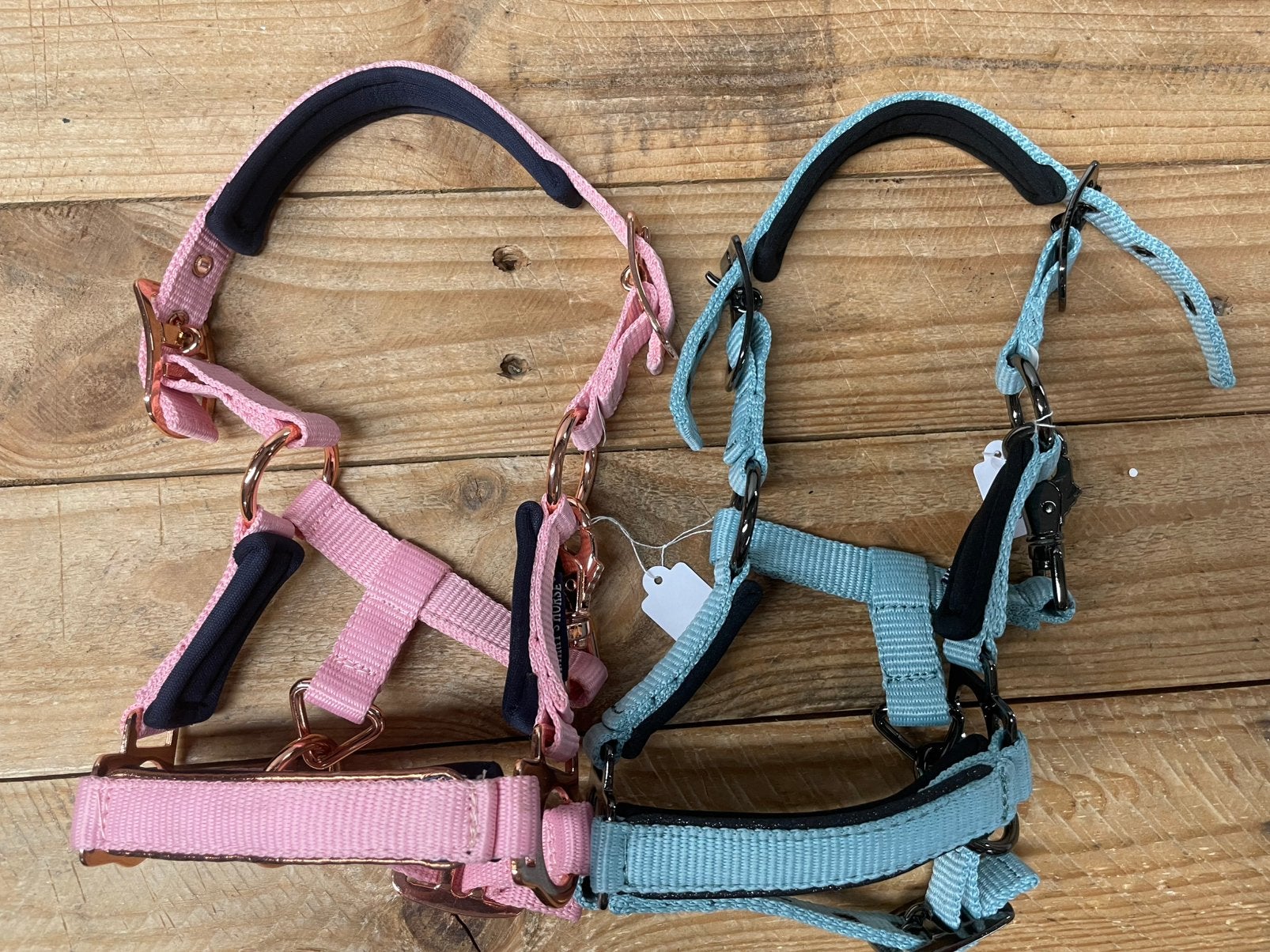 Harry’s horse halster mini veulen of veulen nieuw, Dieren en Toebehoren, Nieuw, Blauw, Halster, Mini